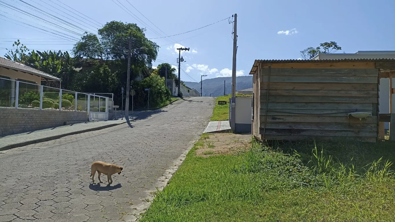 Terreno Centro de Rodeio - foto 1