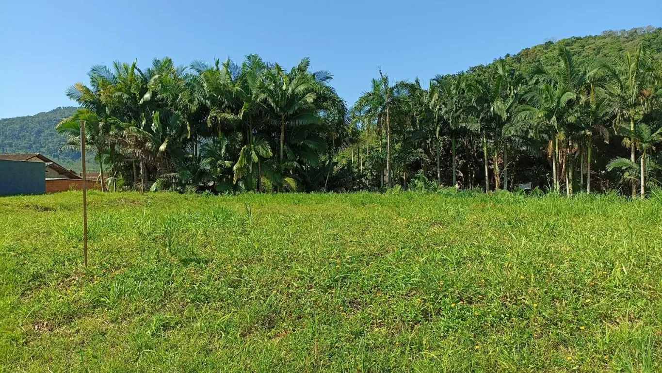Terreno Centro de Rodeio — foto 3