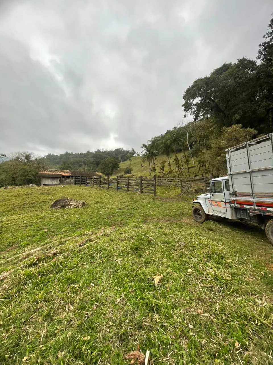 Linda área de pastagem para criação e engorda de gado. — foto 5