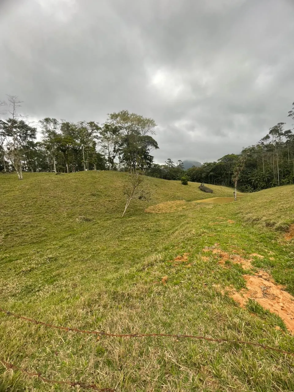 Linda área de pastagem para criação e engorda de gado. — foto 3