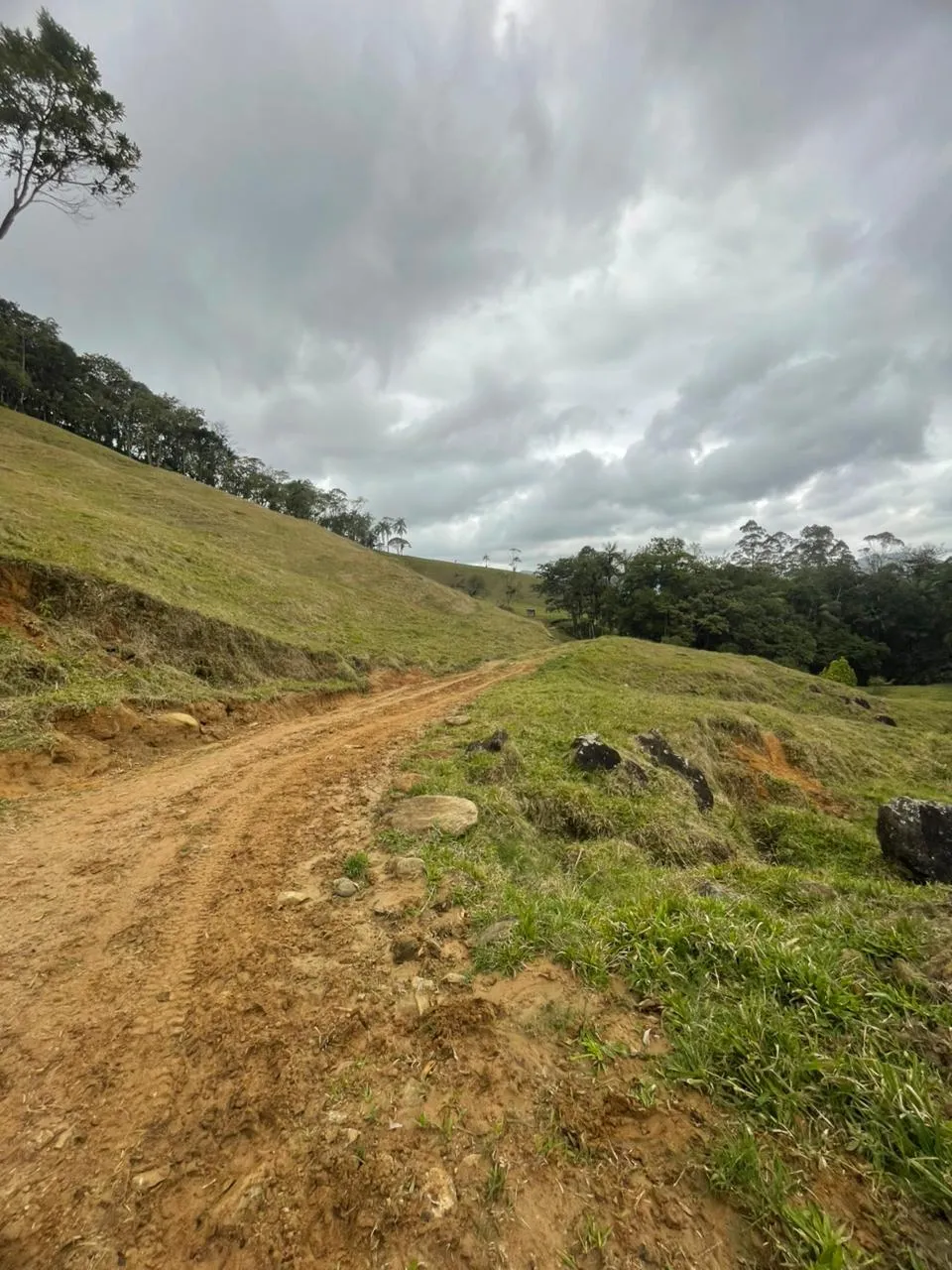 Linda área de pastagem para criação e engorda de gado. — foto 2