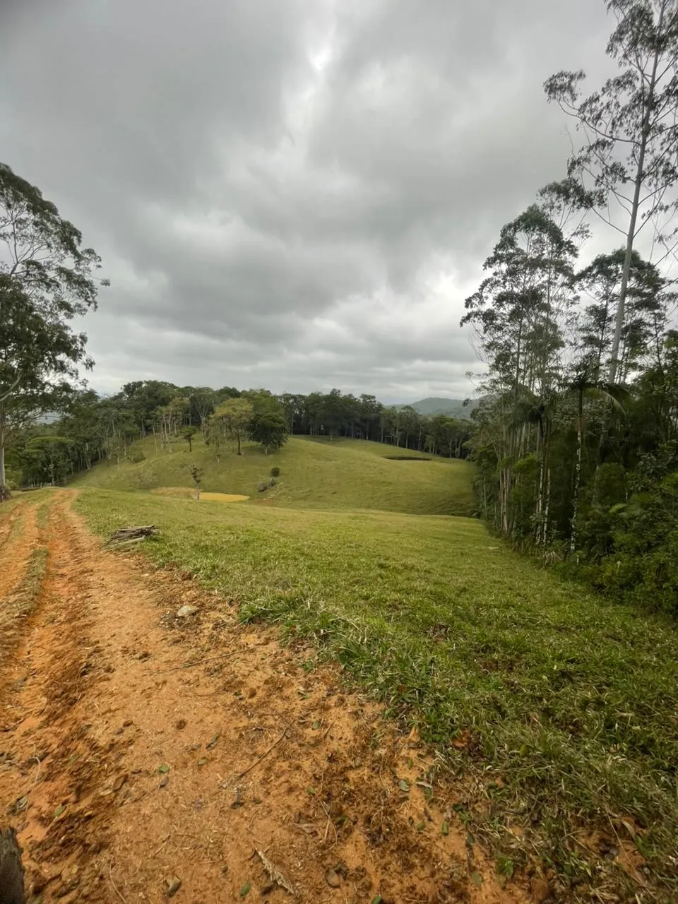 Linda área de pastagem para criação e engorda de gado. — foto 7