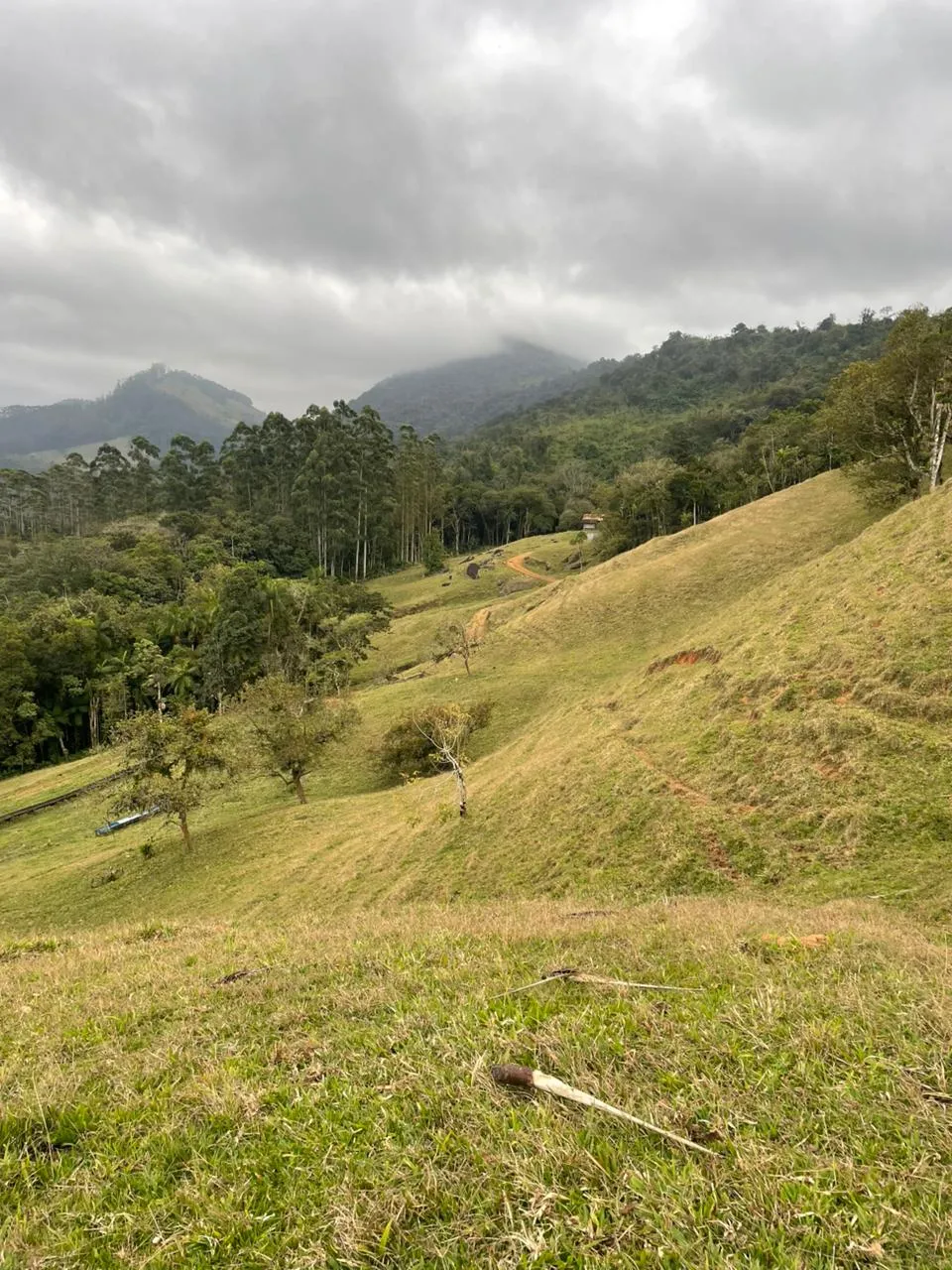 Linda área de pastagem para criação e engorda de gado. - foto 1