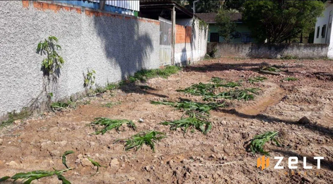 Terreno à venda, 1192 m por R$ 799.000,00 - Figueira - Gaspar/SC — foto 3