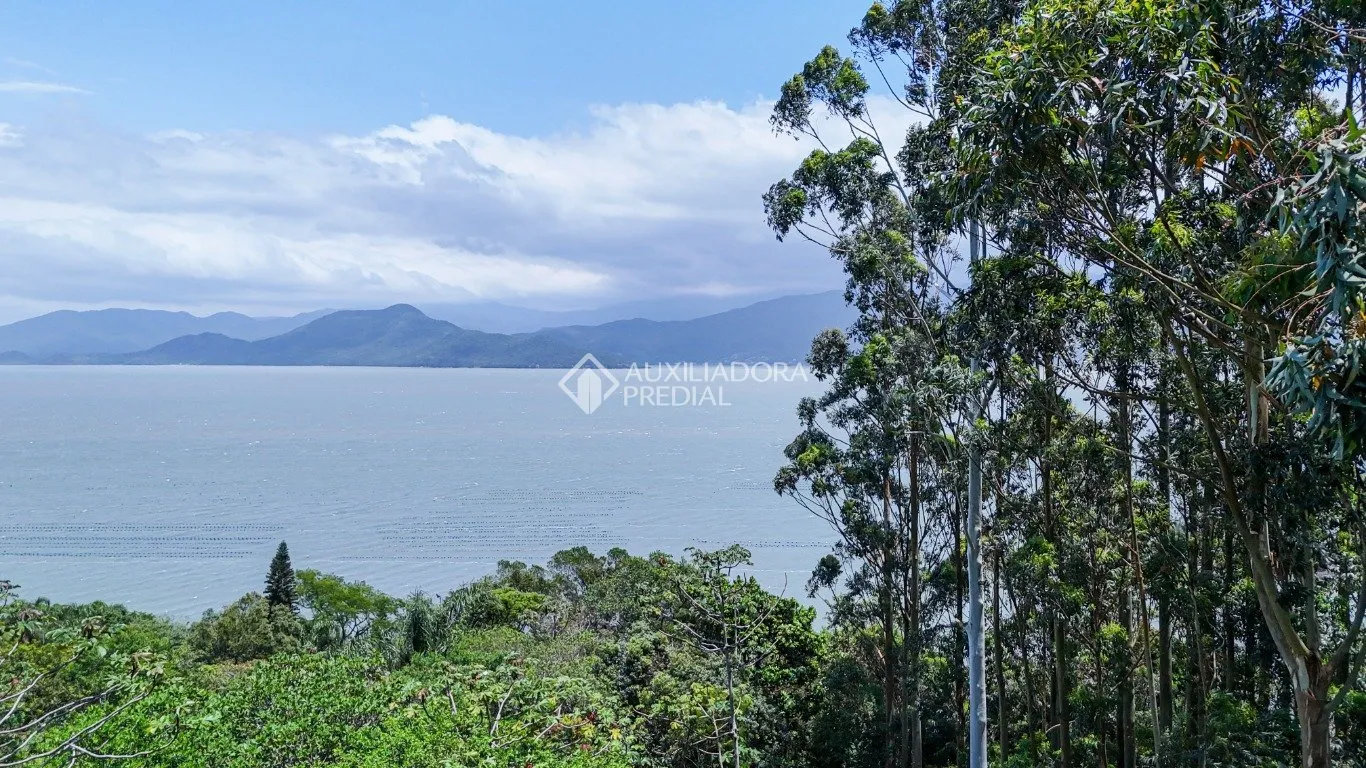 Imóvel — foto 4