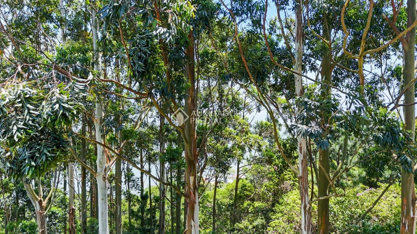 Imóvel — foto 5