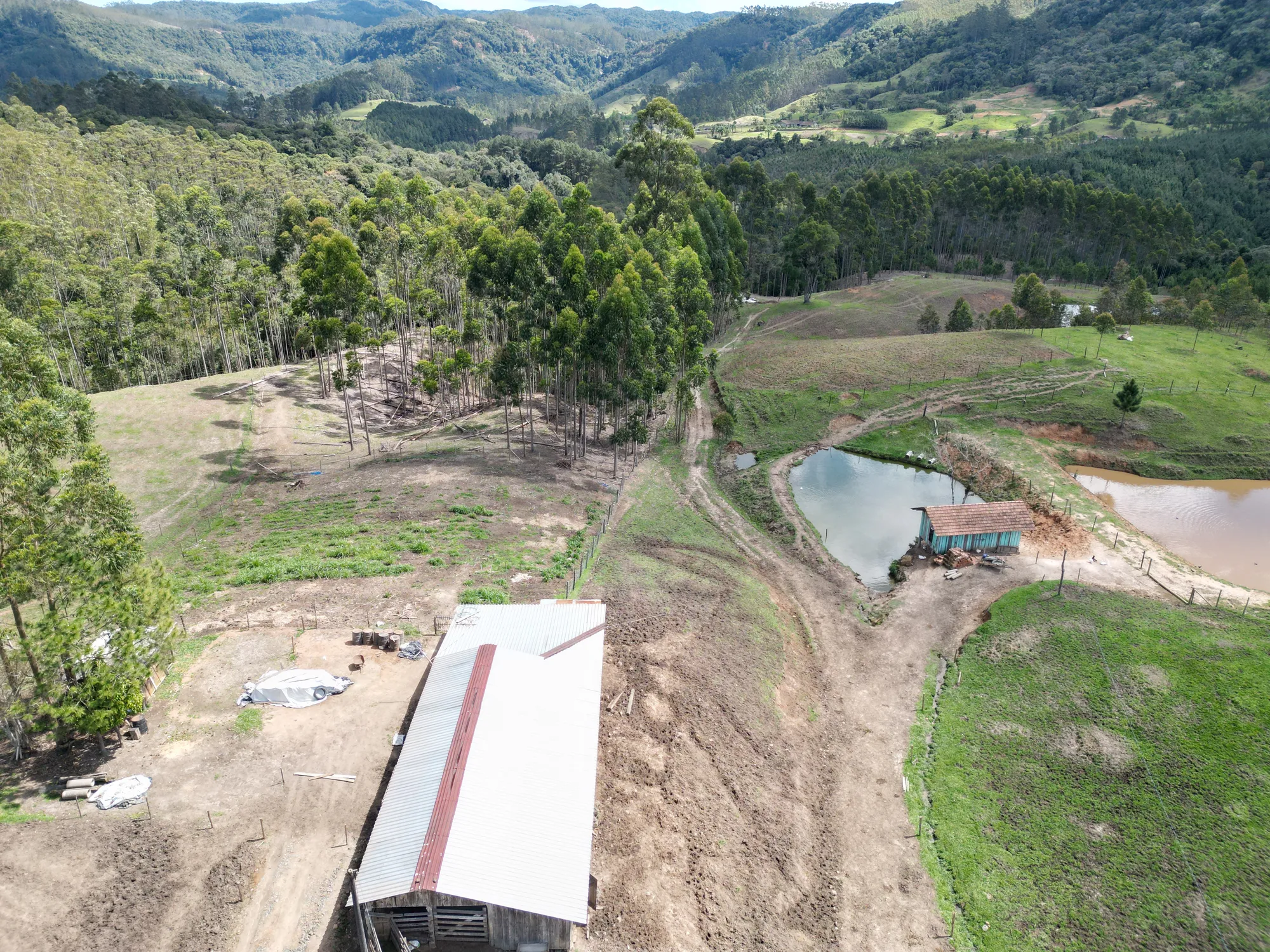 Sítio para criação de gado, ovelha, parte alta de Benedito Novo. — foto 2
