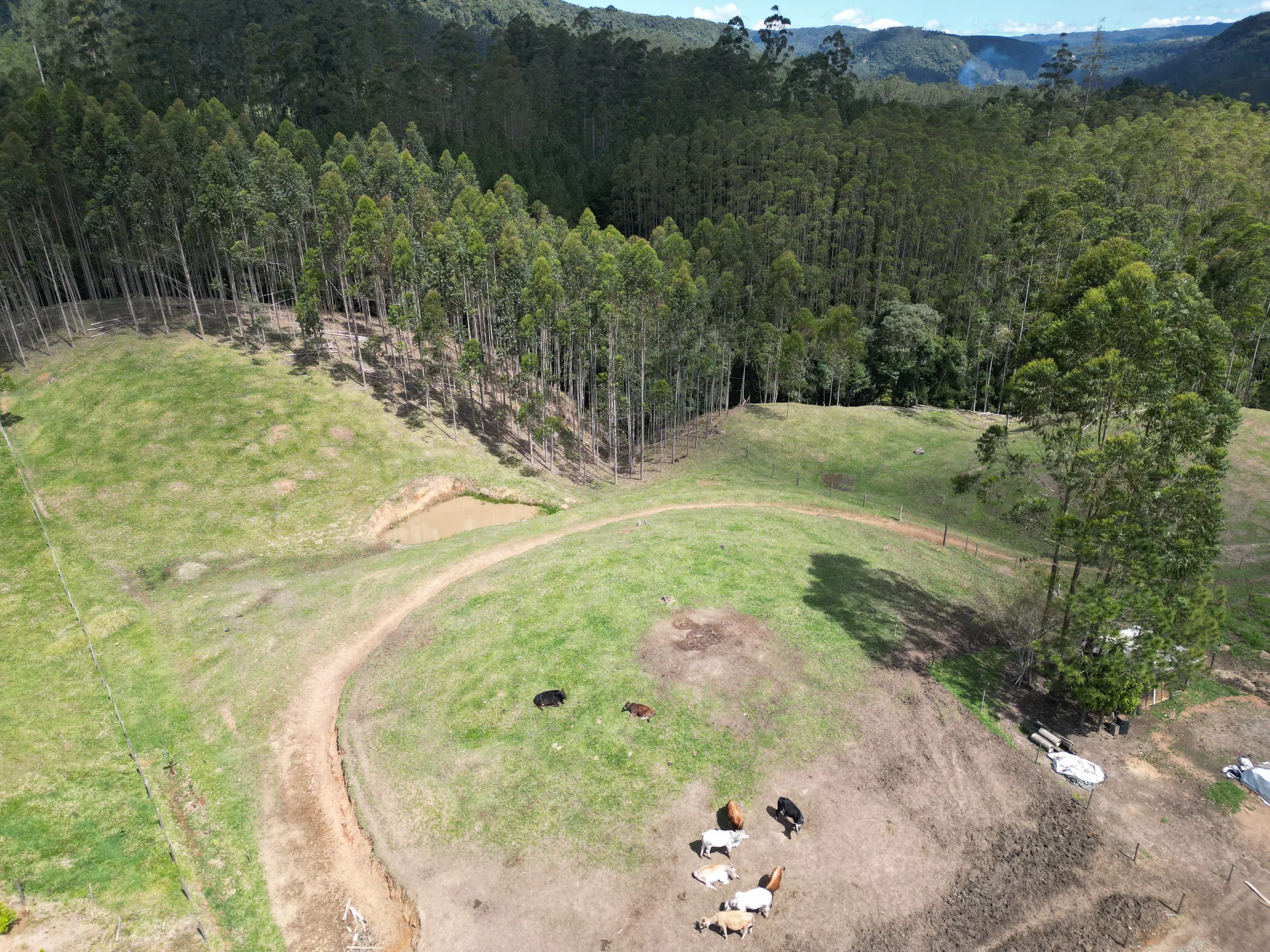 Sítio para criação de gado, ovelha, parte alta de Benedito Novo. — foto 3