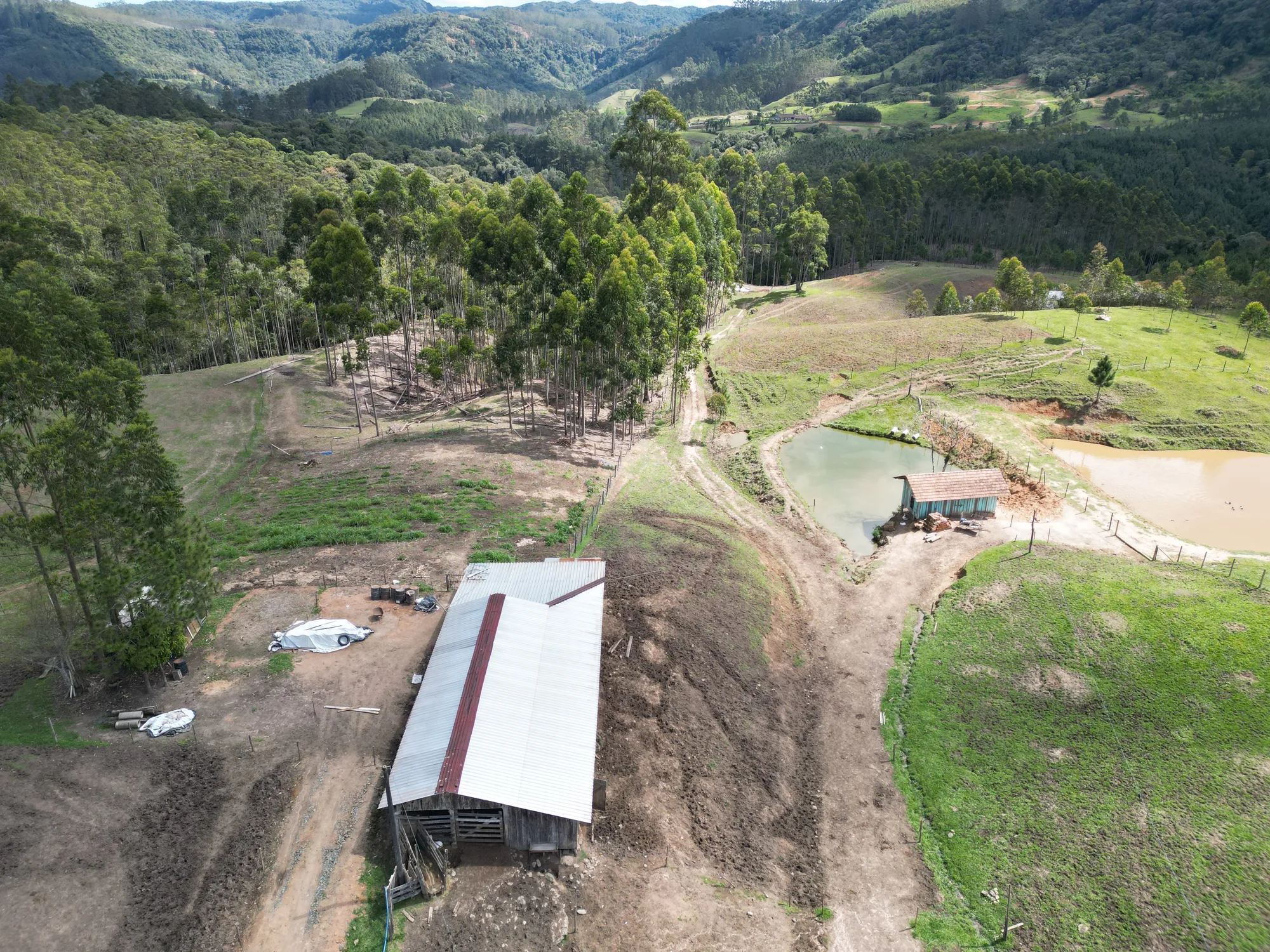 Sítio para criação de gado, ovelha, parte alta de Benedito Novo. — foto 4