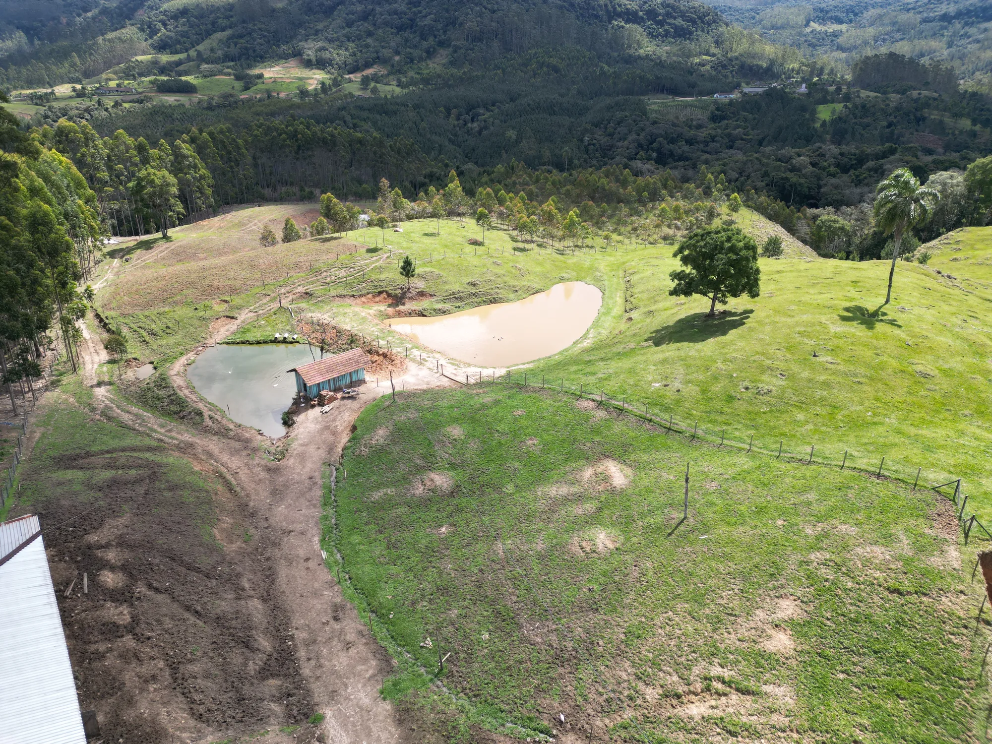 Sítio para criação de gado, ovelha, parte alta de Benedito Novo. — foto 5