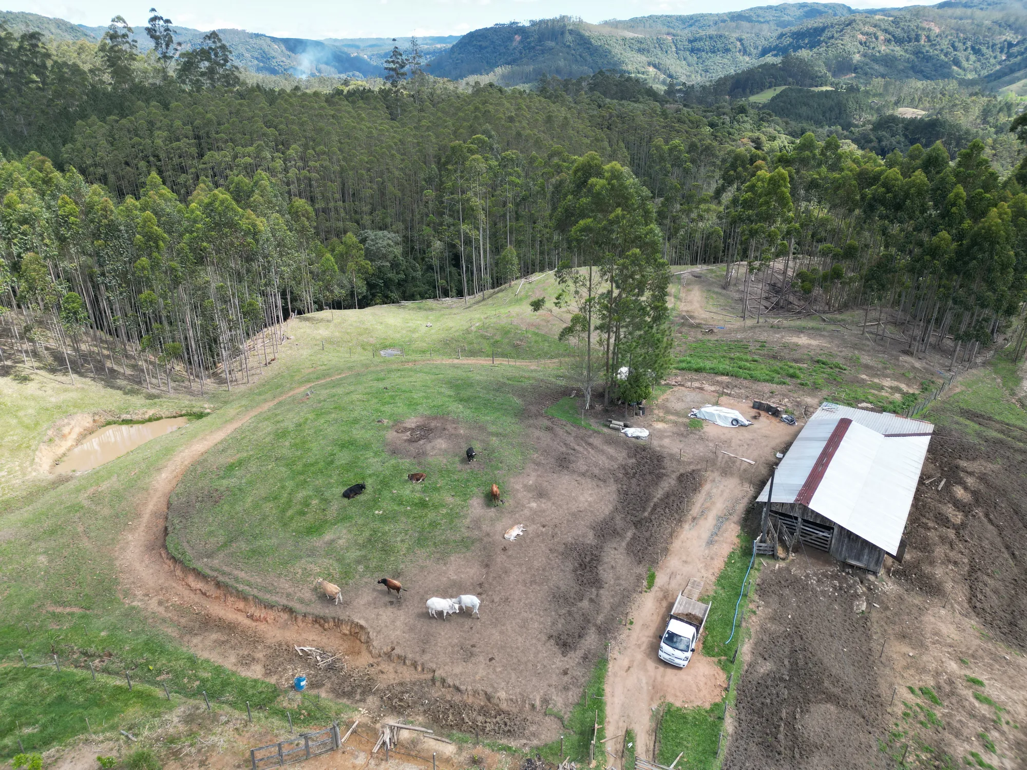 Sítio para criação de gado, ovelha, parte alta de Benedito Novo. — foto 6