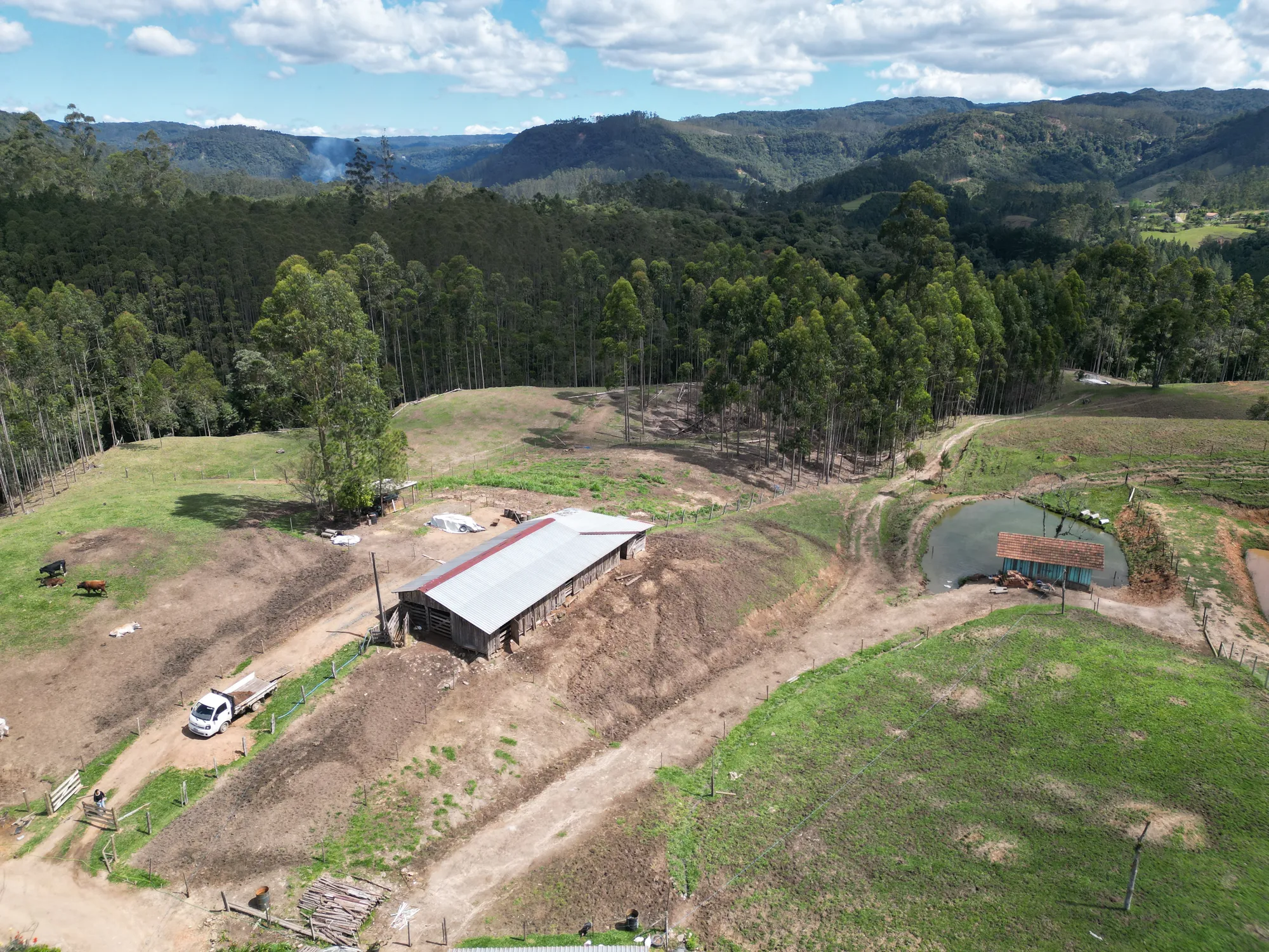 Sítio para criação de gado, ovelha, parte alta de Benedito Novo. — foto 7