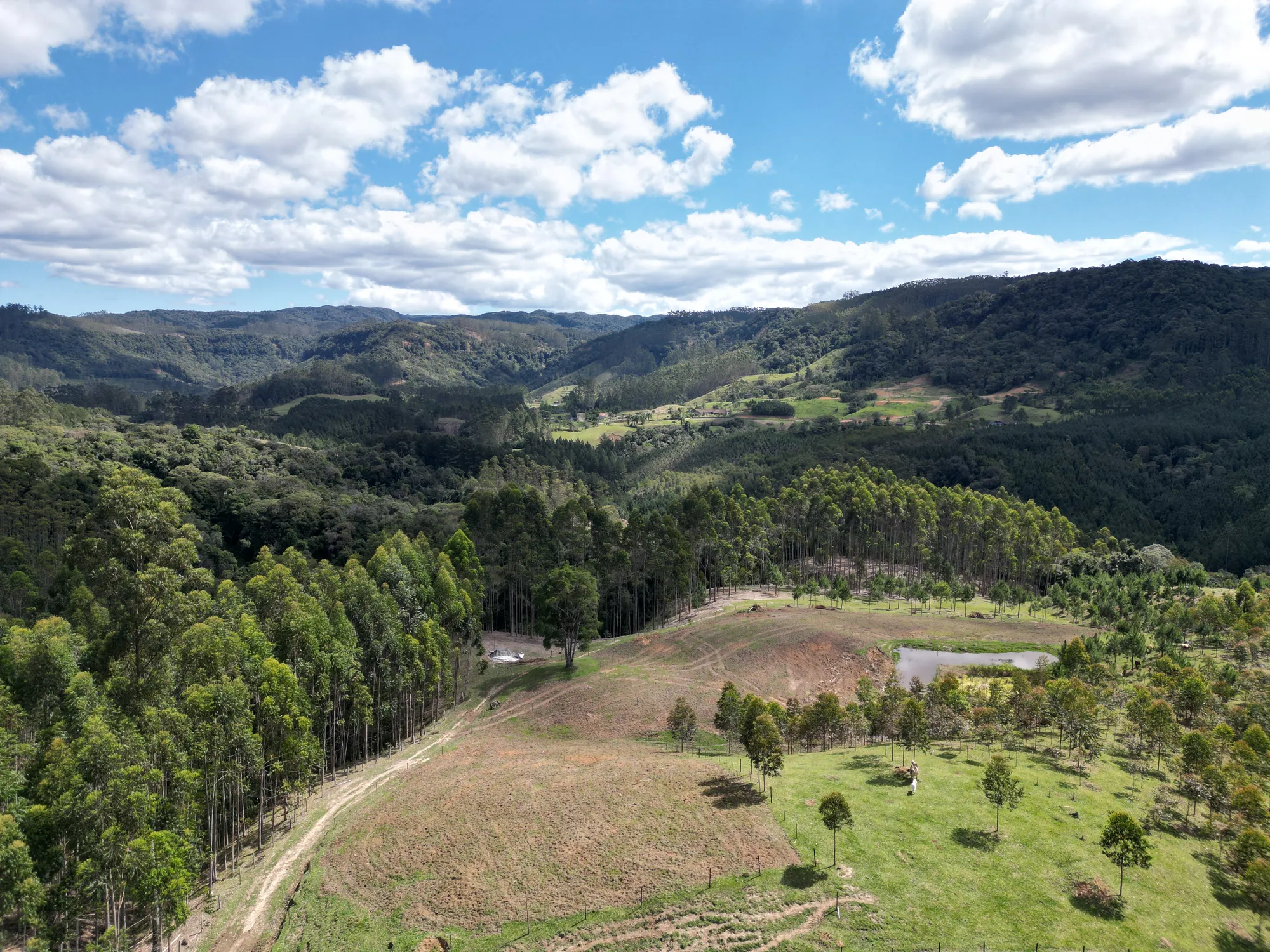 Sítio para criação de gado, ovelha, parte alta de Benedito Novo. - foto 1