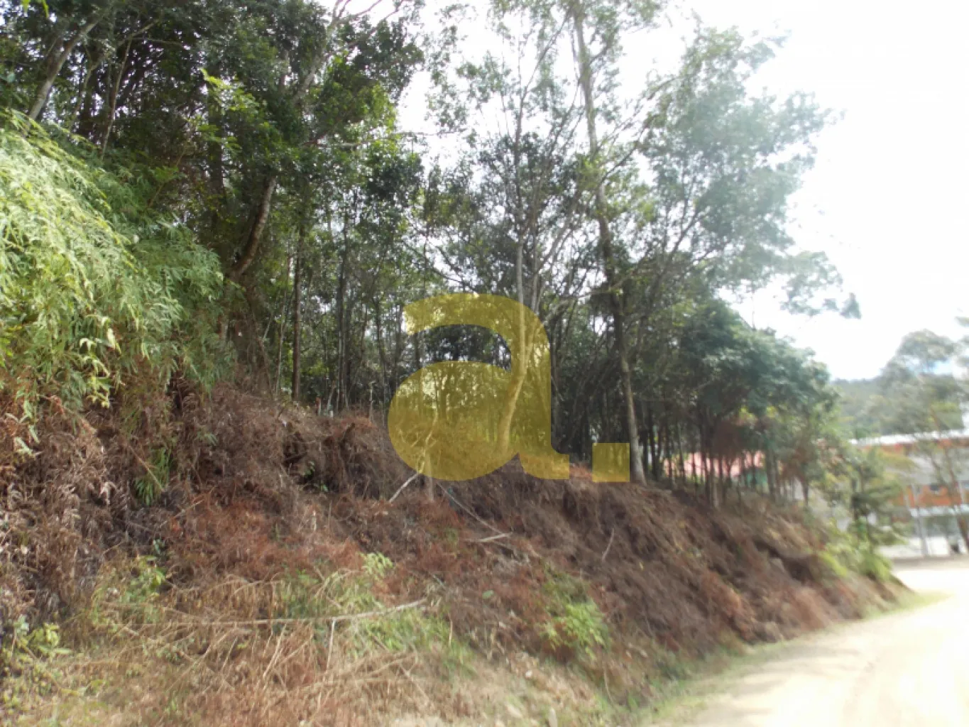 TERRENO À VENDA NO BAIRRO VORSTADT BLUMENAU - SC — foto 3