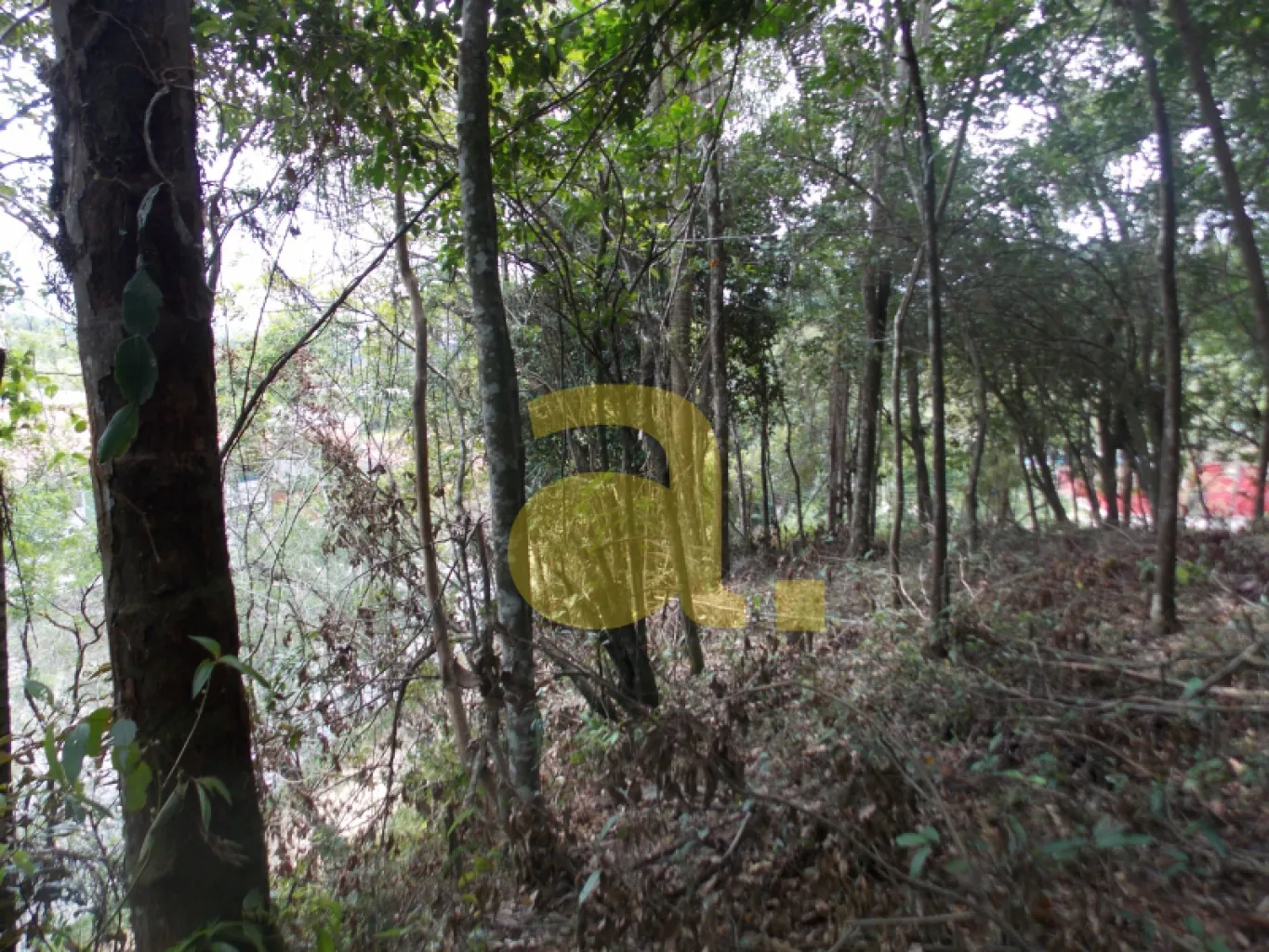 TERRENO À VENDA NO BAIRRO VORSTADT BLUMENAU - SC — foto 7