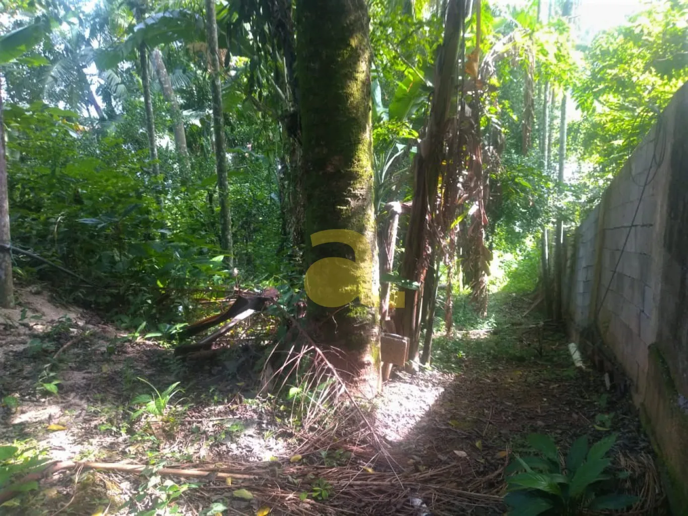 AMPLO TERRENO NO BAIRRO ESCOLA AGRÍCOLA — foto 4