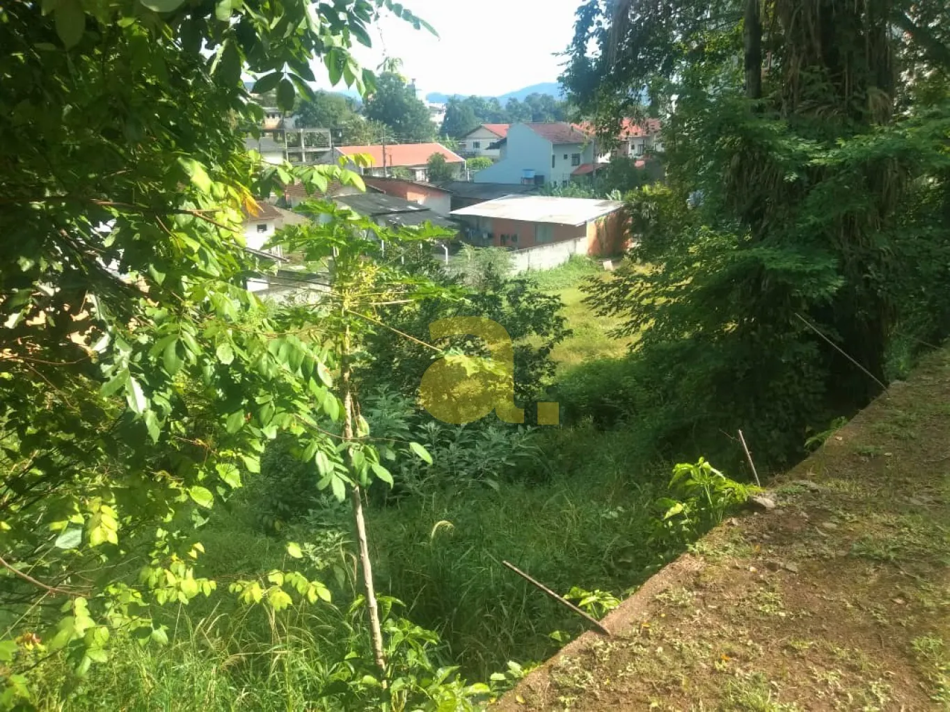 AMPLO TERRENO NO BAIRRO ESCOLA AGRÍCOLA — foto 5