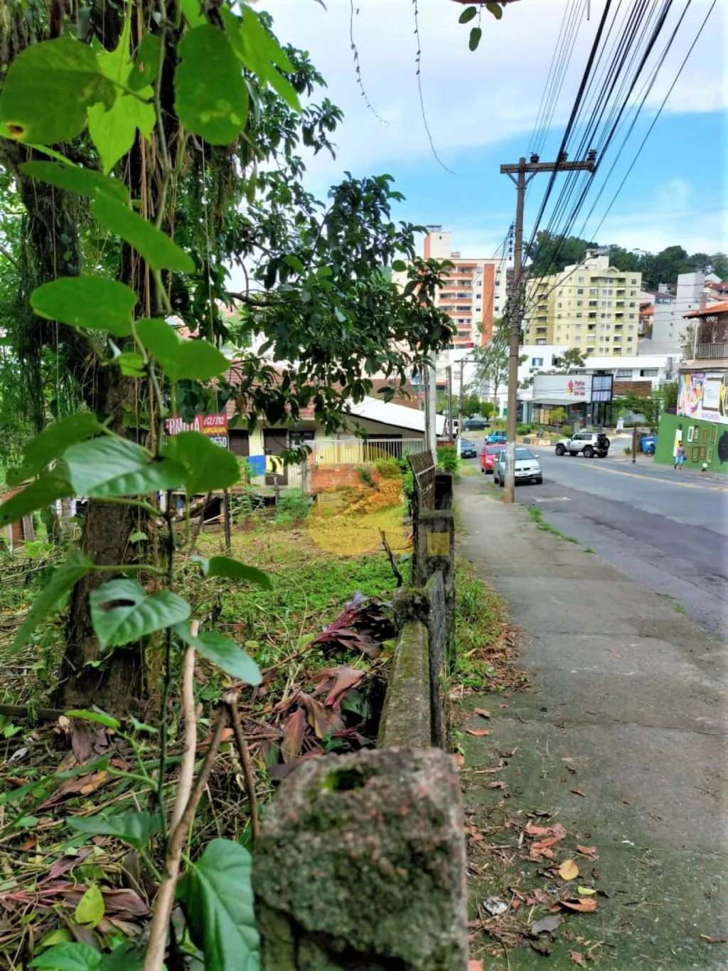 OPORTUNIDADE DE INVESTIMENTO !!! — foto 5