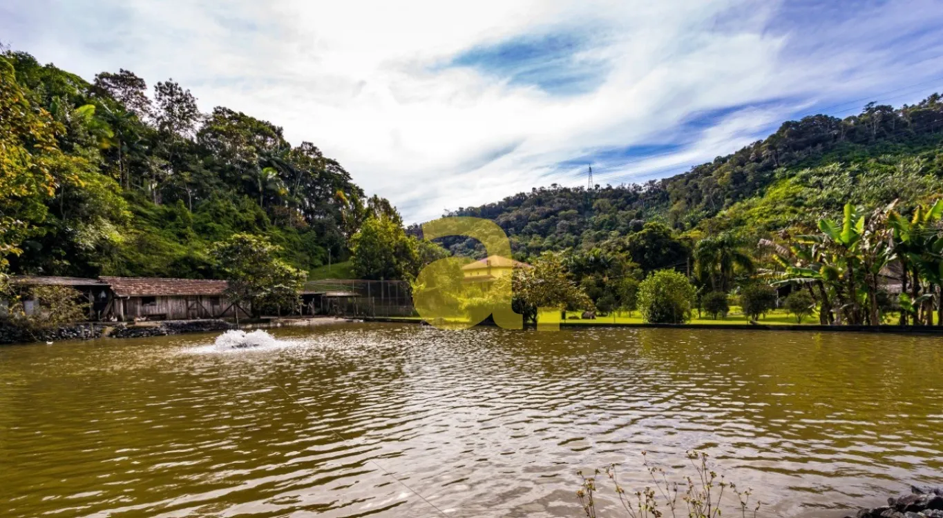 Procurando sossego em um lugar lindo em Blumenau? Venha conhecer esse Sítio — foto 5
