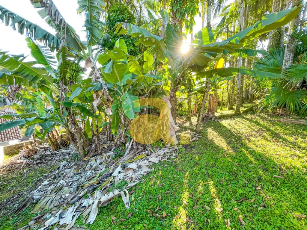 TERRENO À VENDA NO BAIRRO ÁGUA VERDE — foto 4