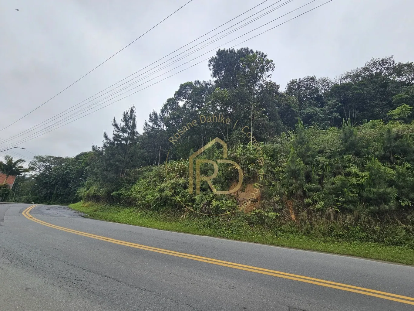 TERRENO CENTRO POMERODE - foto 1