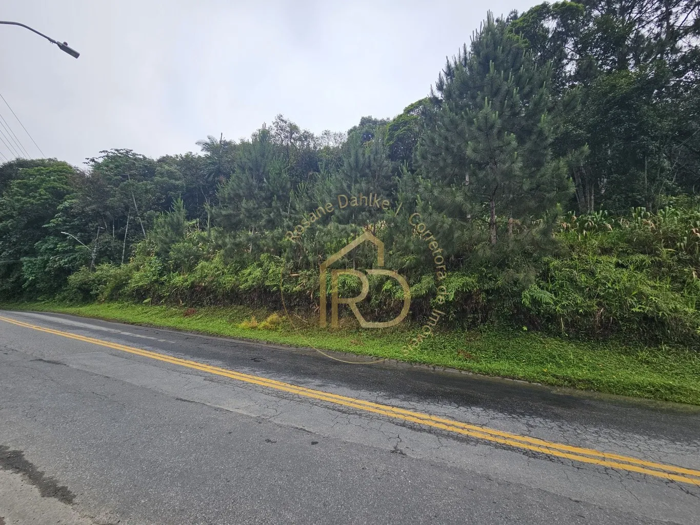 TERRENO CENTRO POMERODE — foto 2