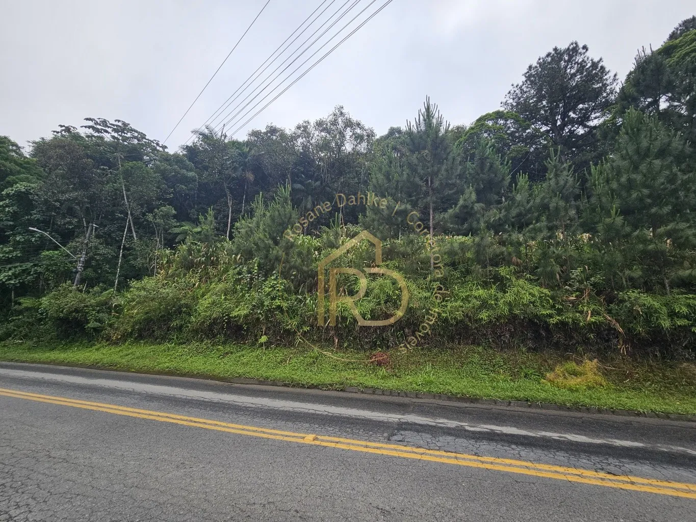 TERRENO CENTRO POMERODE — foto 3