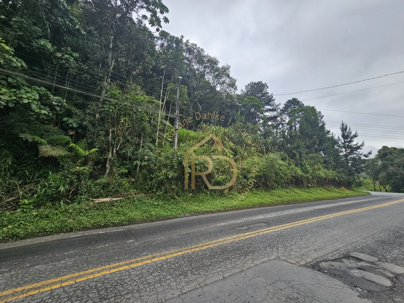 TERRENO CENTRO POMERODE — foto 5