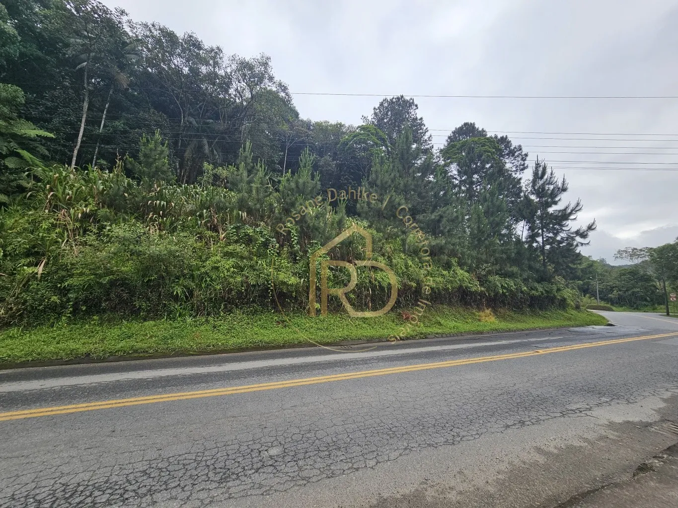 TERRENO CENTRO POMERODE — foto 6