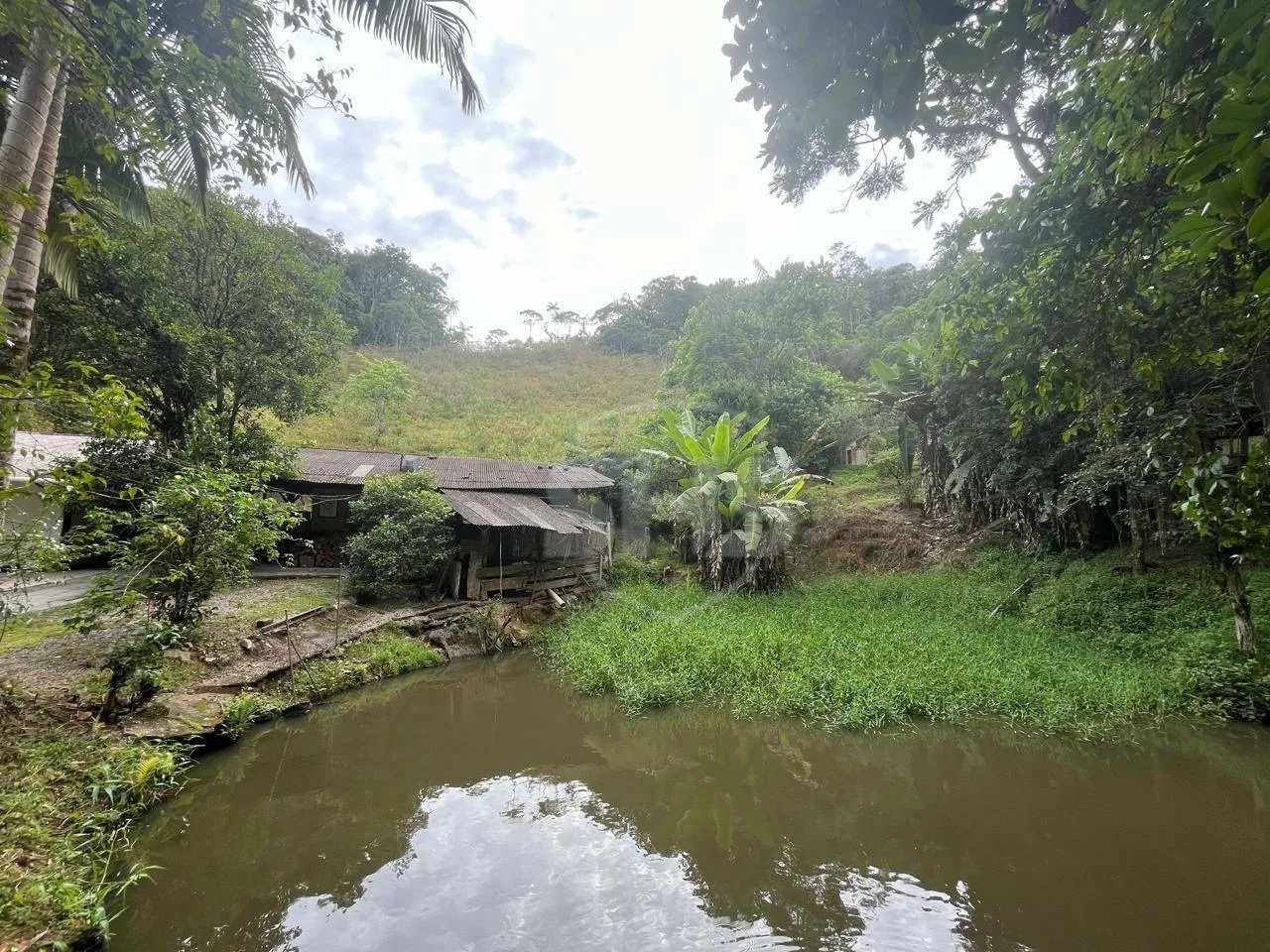 Sítio com 3 dormitórios à venda, 35000 m por R$ 2.300.000,00 - Glória - Blumenau/SC - foto 1