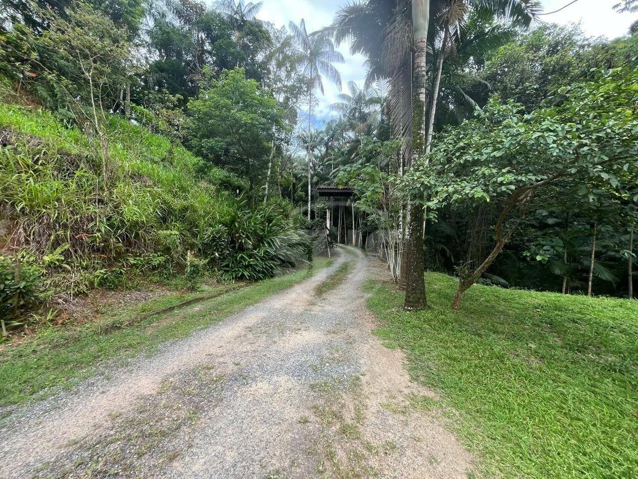 Sítio com 3 dormitórios à venda, 35000 m por R$ 2.300.000,00 - Glória - Blumenau/SC — foto 3