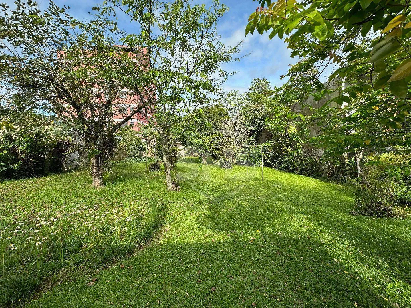 Terreno à venda, 1170 m por R$ 2.600.000,00 - Garcia - Blumenau/SC — foto 2