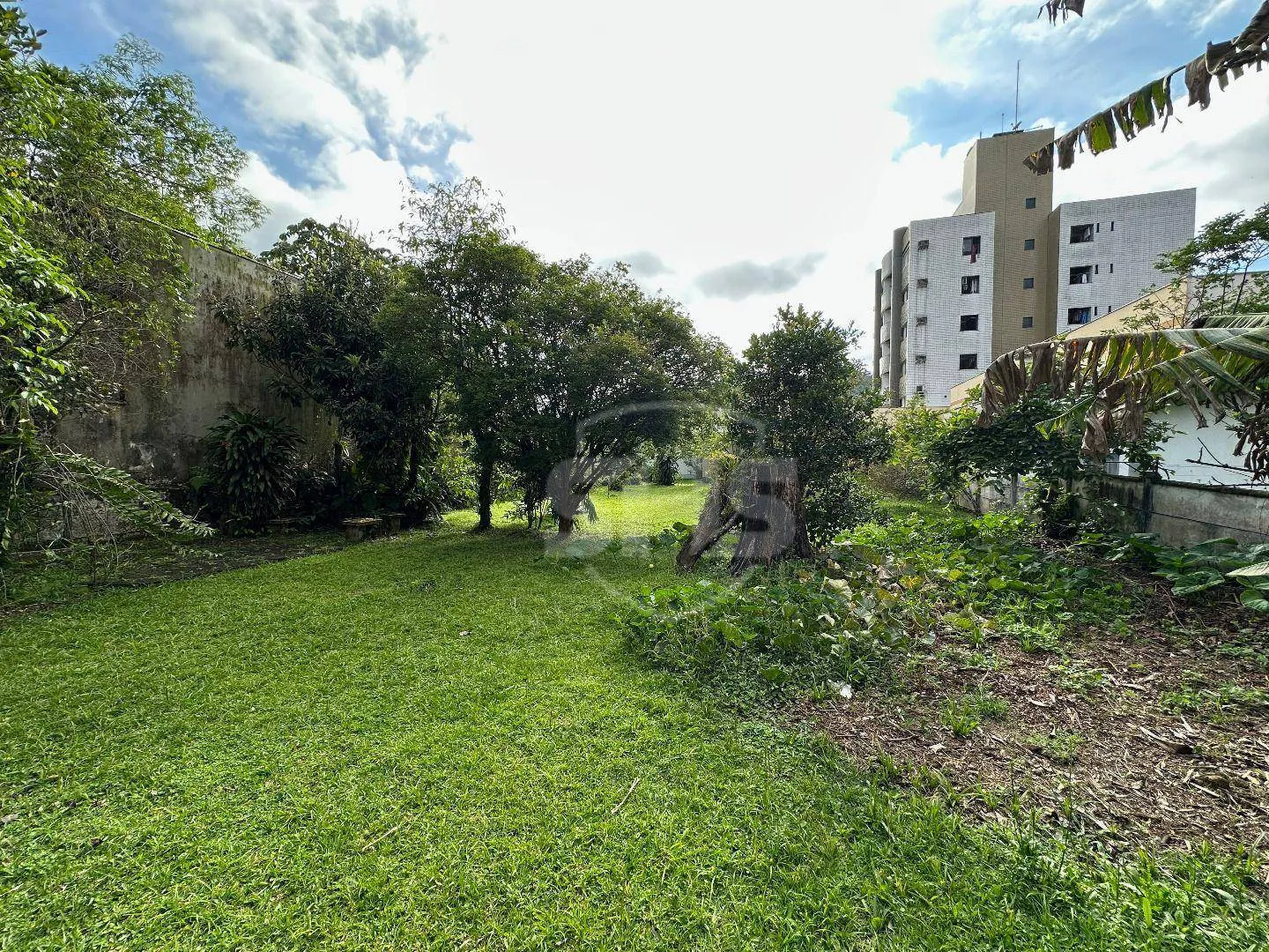Terreno à venda, 1170 m por R$ 2.600.000,00 - Garcia - Blumenau/SC — foto 3