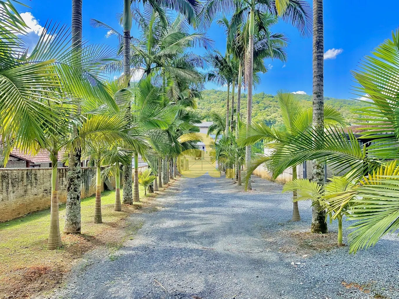 PRÉDIO RESIDENCIAL A VENDA COM OITO APARTAMENTOS - BAIRRO PROGRESSO - BLUMENAU/SC — foto 3