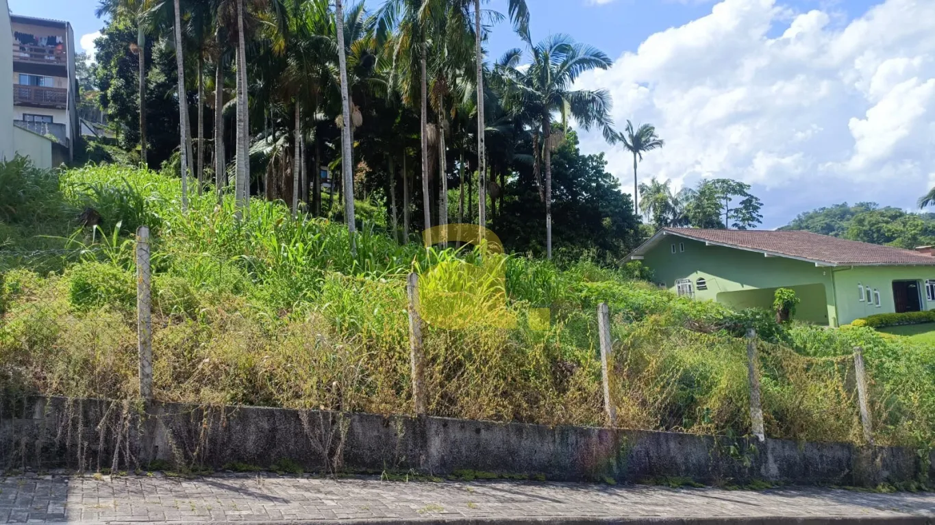 TERRENO A VENDA BAIRRO ITOUPAVA SECA — foto 4