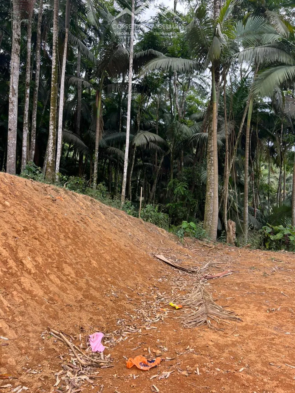 TERRENO - Ribeirão Areia, Pomerode SC — foto 3