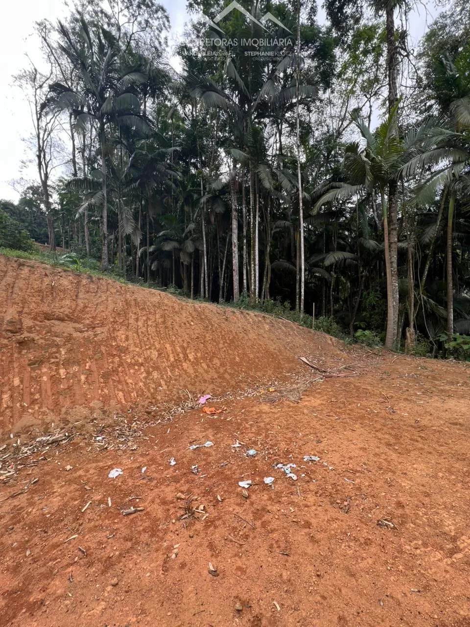 TERRENO - Ribeirão Areia, Pomerode SC — foto 7