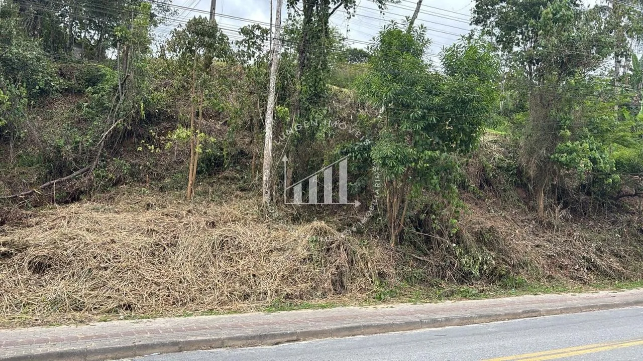 Terreno - Gaspar - Belchior Central - 1099m — foto 3