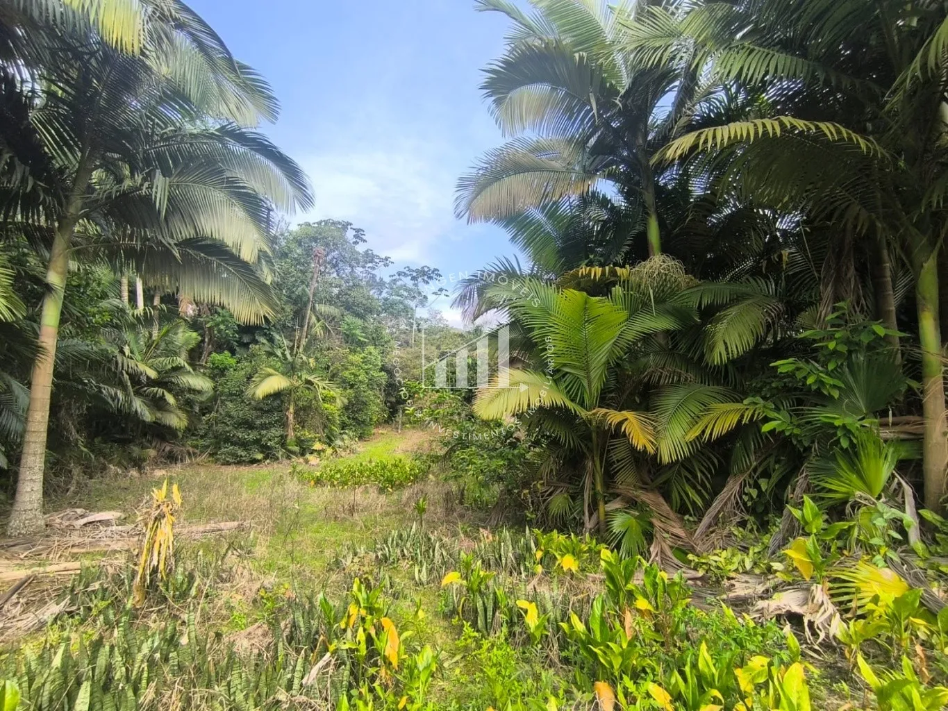 Terreno - Blumenau - Fidelis - 3674m — foto 2