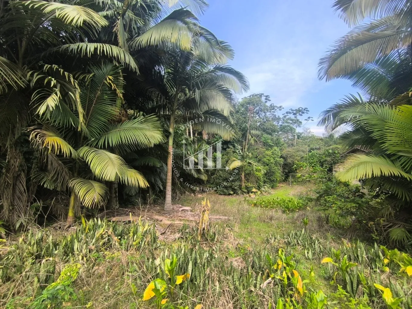 Terreno - Blumenau - Fidelis - 3674m — foto 3