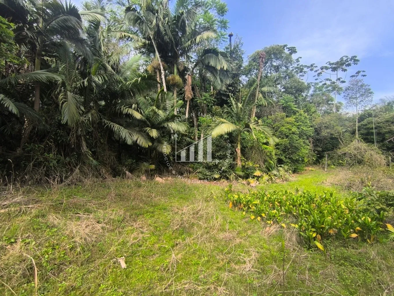 Terreno - Blumenau - Fidelis - 3674m — foto 4