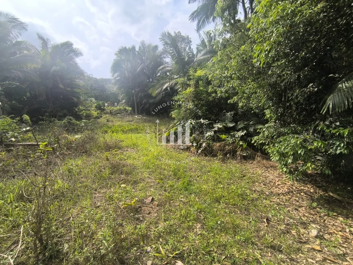 Terreno - Blumenau - Fidelis - 3674m — foto 6