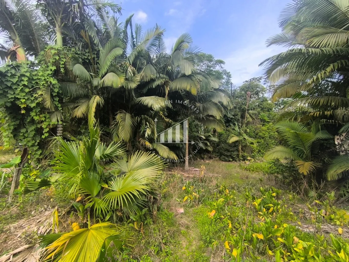 Terreno - Blumenau - Fidelis - 3674m — foto 7