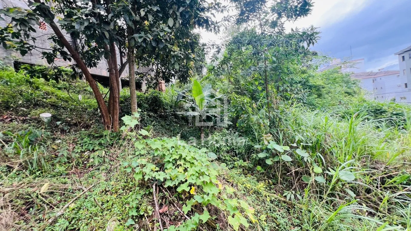 Terreno com 480,00m à venda em Blumenau, Bairro Velha — foto 6