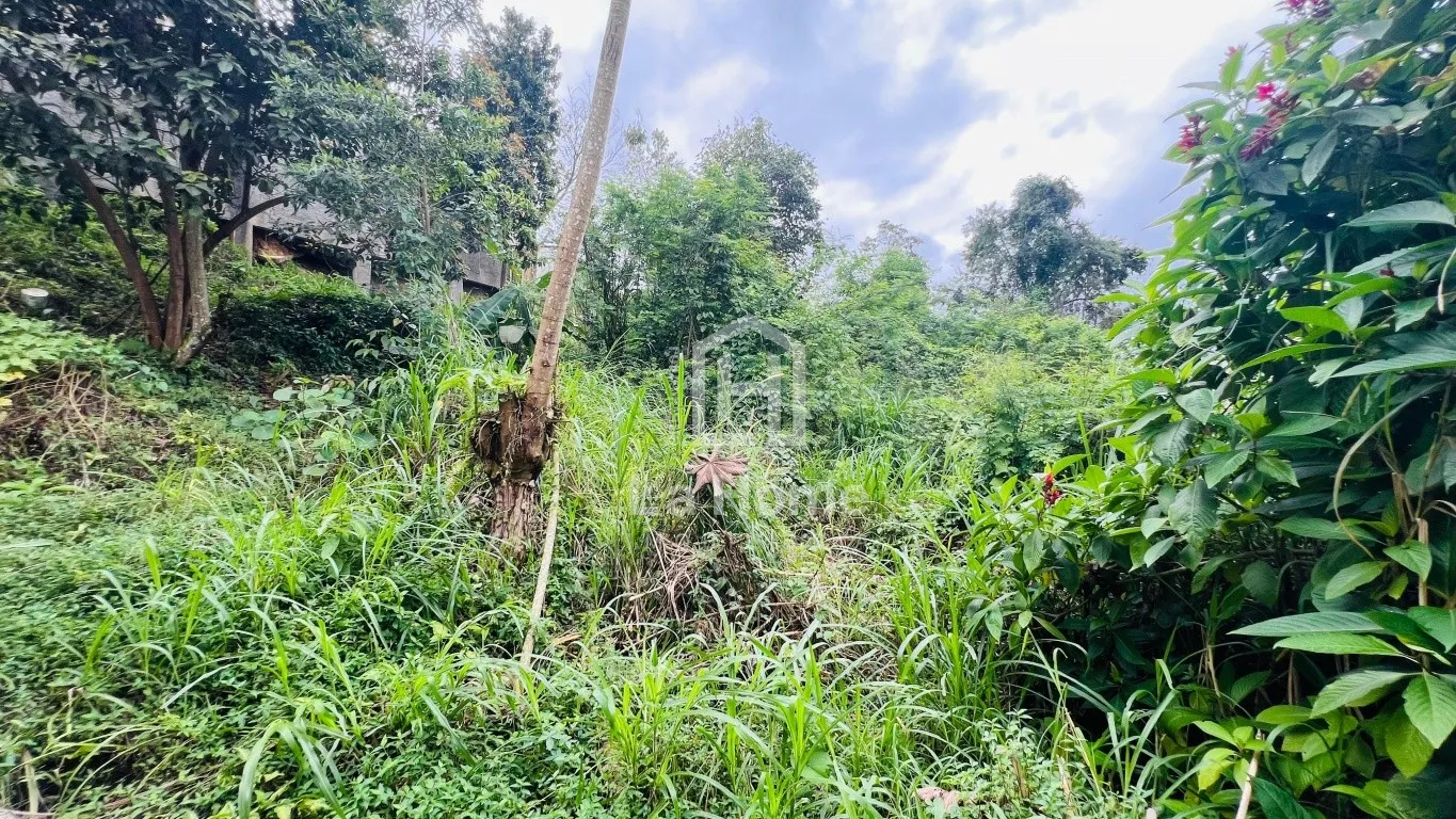 Terreno com 480,00m à venda em Blumenau, Bairro Velha — foto 7
