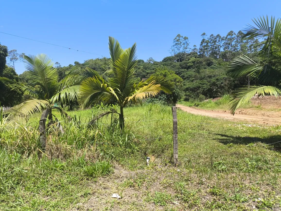 VENDO TERRENOS - foto 1