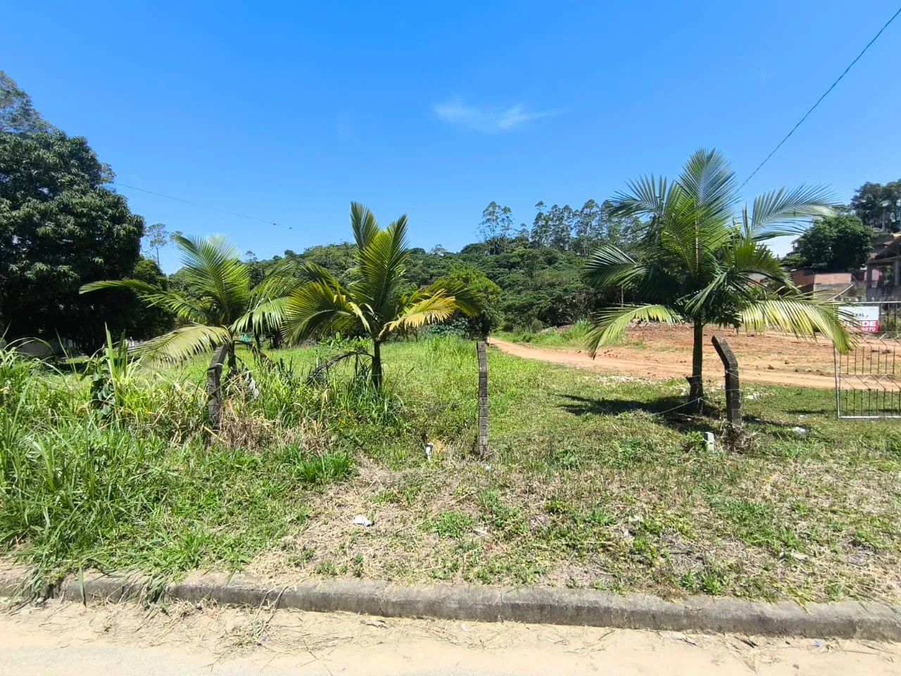 VENDO TERRENOS — foto 4