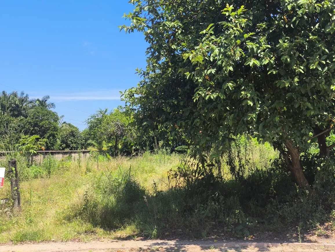 VENDO TERRENO — foto 5