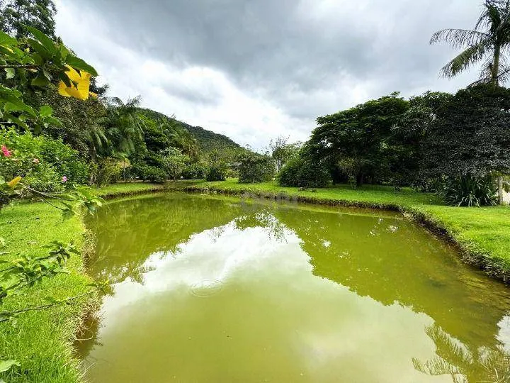 Sítio com 2 dormitórios à venda, 20.000 m por R$ 1.297.000 - Alto Gasparinho - Gaspar/SC | Orbi Imóveis — foto 4