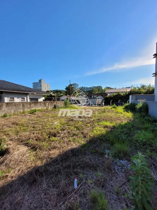 Terreno Centro — foto 5